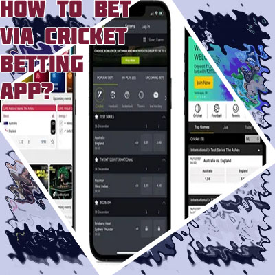 Indian online cricket betting app